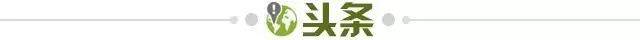 【早报】罗德里恐赛季报销！曼城危了，小熊金球稳了？